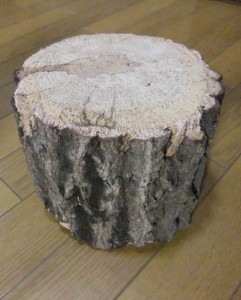 Oak wood_30cm
