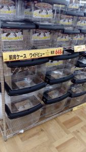 Plastic cases for insects in DIY store