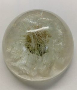 Dandelion in resin