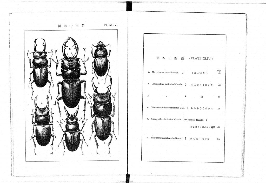 日本千虫図解. 巻3(1907), 第四十四